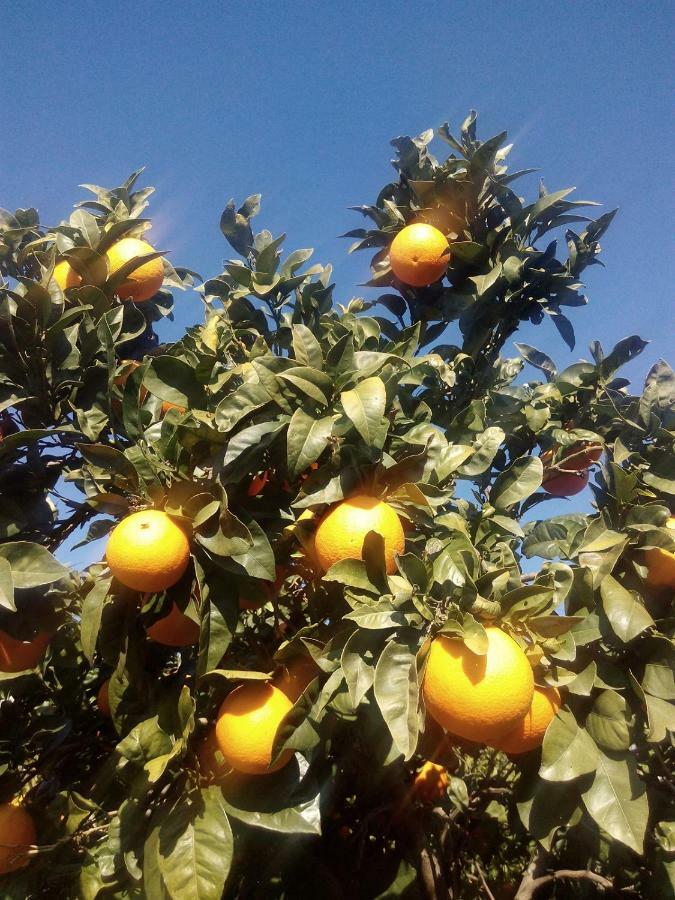Quinta Do Tempo Turismo Rural Monchique Eksteriør bilde
